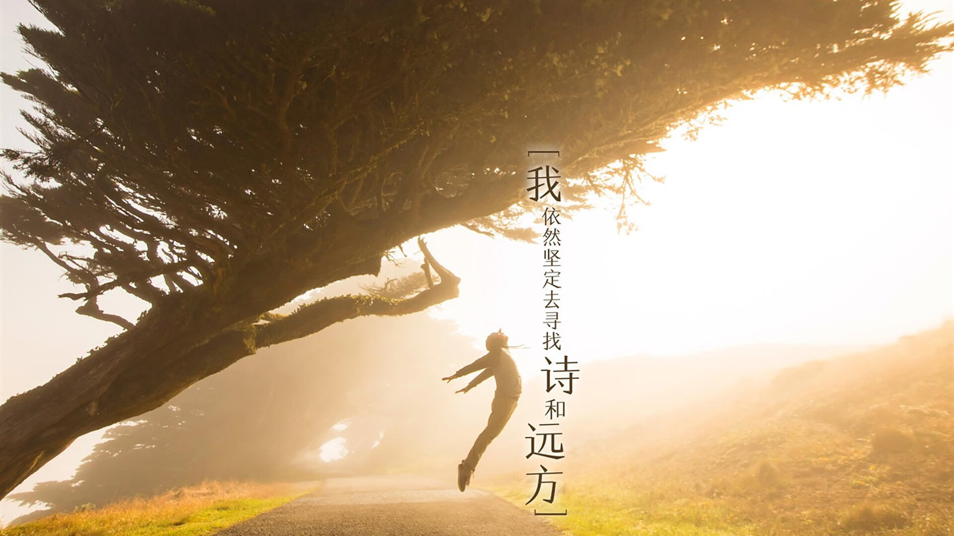 开云体育官网-传控帝国的最后拼图，佩德里的致命一击与奥地利在2026世界杯C组的无声革命